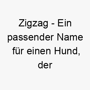 zigzag ein passender name fuer einen hund der gerne hin und her rennt und sich in unvorhersehbaren mustern bewegt 27978