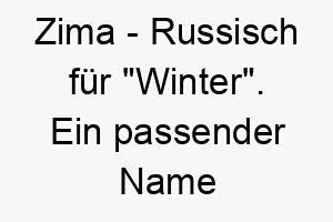 zima russisch fuer winter ein passender name fuer einen hund der im winter geboren wurde oder schnee liebt 27997