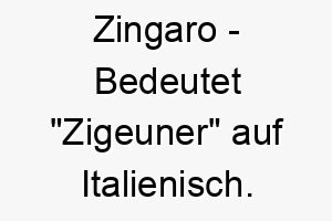 zingaro bedeutet zigeuner auf italienisch ein passender name fuer einen unabhaengigen oder freiheitsliebenden hund 28012