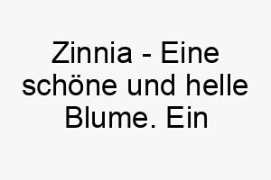 zinnia eine schoene und helle blume ein schoener name fuer einen hund der eine helle und glueckliche persoenlichkeit hat 28107