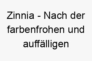 zinnia nach der farbenfrohen und auffaelligen blume benannt ein suesser und farbenfroher name fuer ihren hund 28048