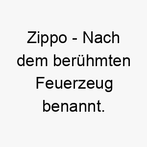 zippo nach dem beruehmten feuerzeug benannt ein toller name fuer einen hund mit einem lebendigen und feurigen temperament 27967