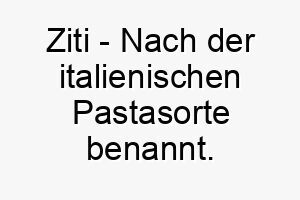 ziti nach der italienischen pastasorte benannt ein suesser name fuer einen hund der eine vorliebe fuer essen hat 28021