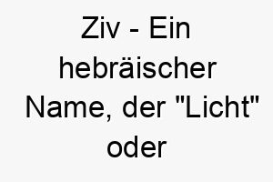 ziv ein hebraeischer name der licht oder helligkeit bedeutet ein heller name fuer einen hund mit einer strahlenden persoenlichkeit 28027