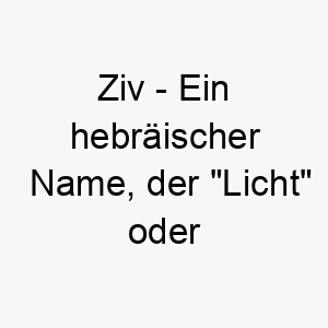 ziv ein hebraeischer name der licht oder helligkeit bedeutet ein heller name fuer einen hund mit einer strahlenden persoenlichkeit 28027