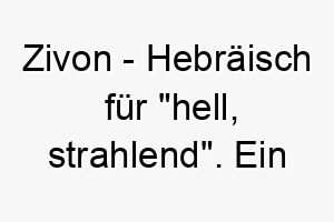 zivon hebraeisch fuer hell strahlend ein passender name fuer einen hund mit einer strahlenden persoenlichkeit oder einem hellen fell 28078