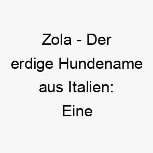 zola der erdige hundename aus italien eine entdeckungsreiche herkunft 11312