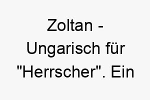 zoltan ungarisch fuer herrscher ein kraeftiger name fuer einen dominierenden hund 28062