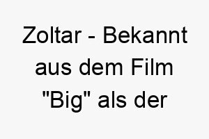 zoltar bekannt aus dem film big als der wahrsage automat ein interessanter name fuer einen mysterioesen oder ungewoehnlichen hund 27981