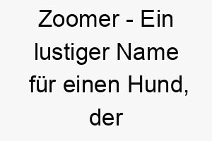 zoomer ein lustiger name fuer einen hund der gerne herumlaeuft und spielt 27977