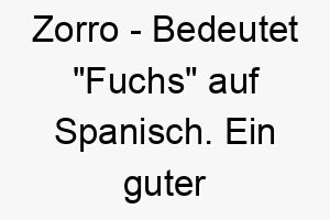 zorro bedeutet fuchs auf spanisch ein guter name fuer einen schlauen und schnellen hund 27962