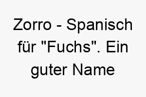 zorro spanisch fuer fuchs ein guter name fuer einen schelmischen oder klugen hund 28067