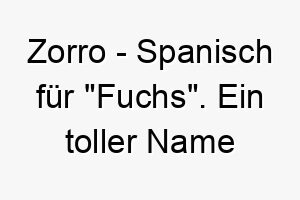 zorro spanisch fuer fuchs ein toller name fuer einen schlauen oder gerissenen hund 28087