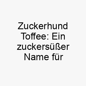 zuckerhund toffee ein zuckersuesser name fuer einen warmherzigen vierbeiner 26398