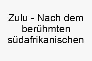 zulu nach dem beruehmten suedafrikanischen volksstamm benannt ein starker name fuer einen mutigen und tapferen hund 28029