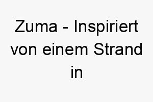 zuma inspiriert von einem strand in kalifornien ein passender name fuer einen hund der das wasser oder das leben im freien liebt 28059