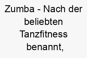 zumba nach der beliebten tanzfitness benannt ein guter name fuer einen energiegeladenen hund 28040