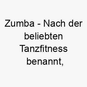 zumba nach der beliebten tanzfitness benannt ein guter name fuer einen energiegeladenen hund 28040