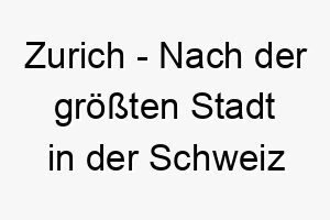 zurich nach der groessten stadt in der schweiz benannt ein ausgefallener und stilvoller name fuer einen hund 28083