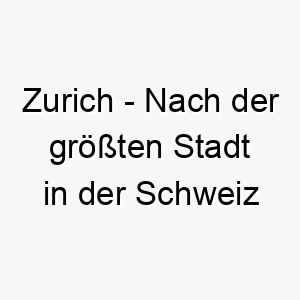 zurich nach der groessten stadt in der schweiz benannt ein ausgefallener und stilvoller name fuer einen hund 28083