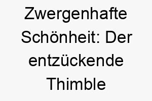 zwergenhafte schoenheit der entzueckende thimble ein name der wie ein fingerhut fuer deinen kleinen hund passt 26743