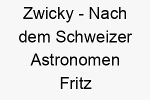 zwicky nach dem schweizer astronomen fritz zwicky benannt ein guter name fuer einen hund der neugierig und abenteuerlustig ist 28113