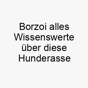 borzoi alles wissenswerte ueber diese hunderasse 28607