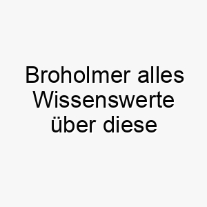 broholmer alles wissenswerte ueber diese hunderasse 28618