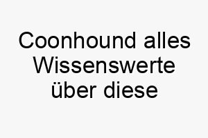 coonhound alles wissenswerte ueber diese hunderasse 28648