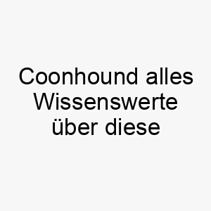 coonhound alles wissenswerte ueber diese hunderasse 28648