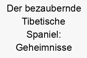 der bezaubernde tibetische spaniel geheimnisse einer faszinierenden hunderasse 29617