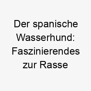 der spanische wasserhund faszinierendes zur rasse 29603