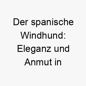 der spanische windhund eleganz und anmut in perfektion 29601