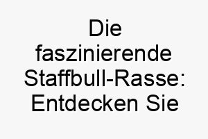 die faszinierende staffbull rasse entdecken sie alles wissenswerte ueber den staffordshire bull terrier 29606