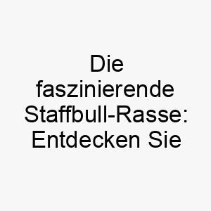 die faszinierende staffbull rasse entdecken sie alles wissenswerte ueber den staffordshire bull terrier 29606