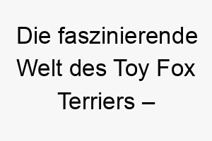 die faszinierende welt des toy fox terriers einblicke in eine aussergewoehnliche hunderasse 29622