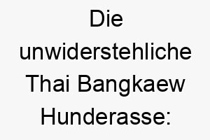 die unwiderstehliche thai bangkaew hunderasse entdecken sie alles wissenswerte 29613