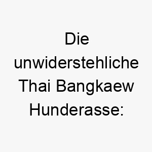 die unwiderstehliche thai bangkaew hunderasse entdecken sie alles wissenswerte 29613