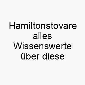 hamiltonstovare alles wissenswerte ueber diese hunderasse 28730