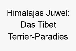 himalajas juwel das tibet terrier paradies enthuellt 29615