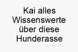 kai alles wissenswerte ueber diese hunderasse 28782