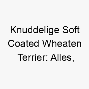 knuddelige soft coated wheaten terrier alles was du ueber diese rasse wissen solltest 29122