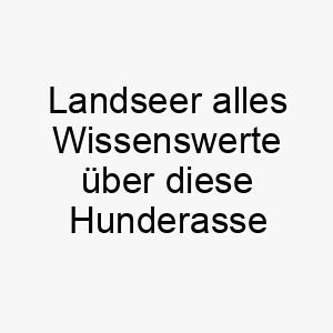 landseer alles wissenswerte ueber diese hunderasse 28806