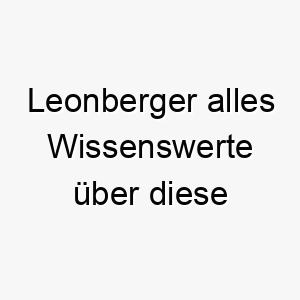 leonberger alles wissenswerte ueber diese hunderasse 28808