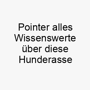 pointer alles wissenswerte ueber diese hunderasse 28864