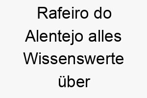 rafeiro do alentejo alles wissenswerte ueber diese hunderasse 28890