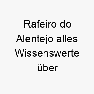 rafeiro do alentejo alles wissenswerte ueber diese hunderasse 28890