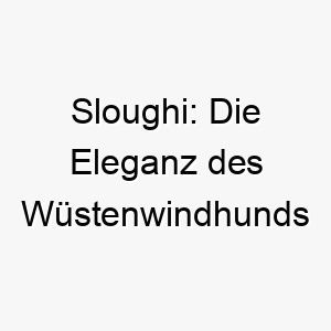 sloughi die eleganz des wuestenwindhunds enthuellt 28919