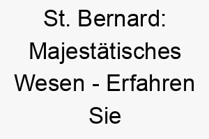 st bernard majestaetisches wesen erfahren sie alles ueber diese faszinierende hunderasse 29605