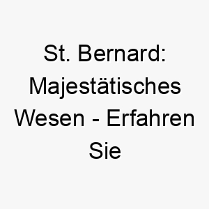 st bernard majestaetisches wesen erfahren sie alles ueber diese faszinierende hunderasse 29605